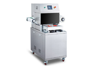 DQ305L 氣調(diào)包裝機
