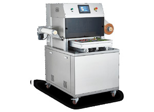 DQ400L 氣調(diào)包裝機